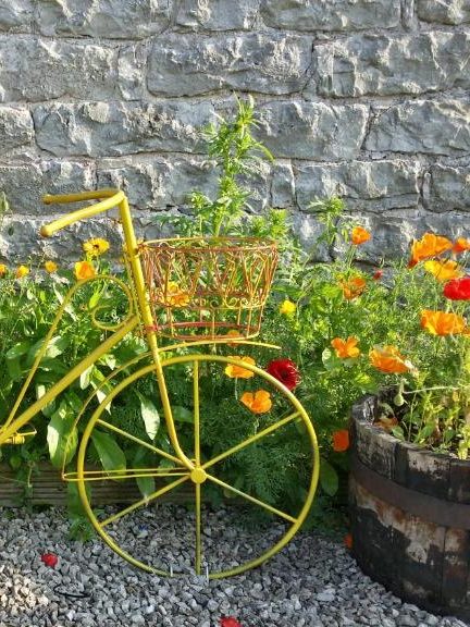 yellow cycle and flowers at the Strickland Arms Penrith